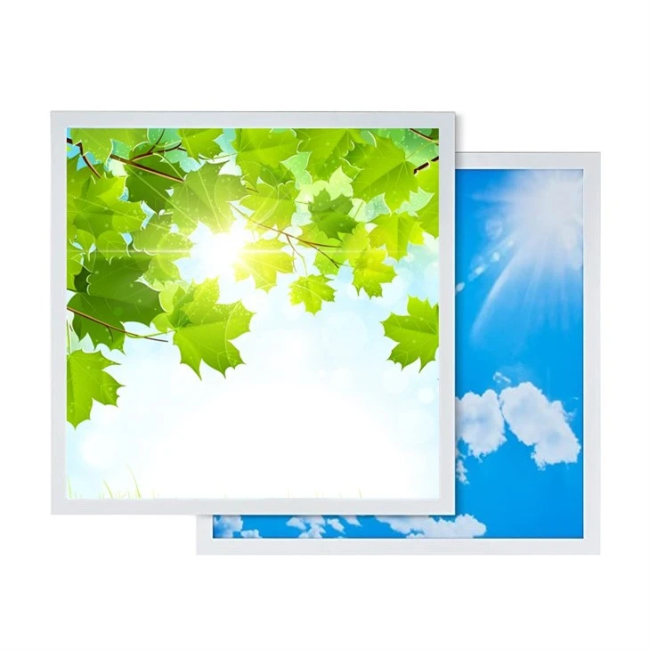 Ceiling Mounted Sky White Cloud Design LED Panel Light made in china